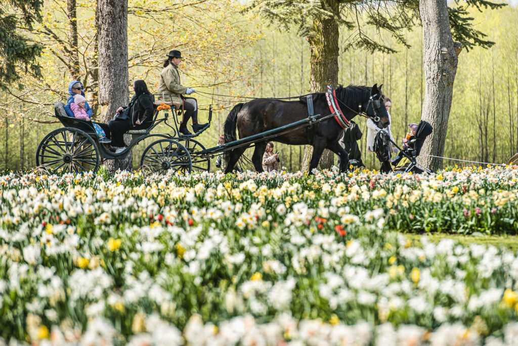 Autors: Publicitātes foto