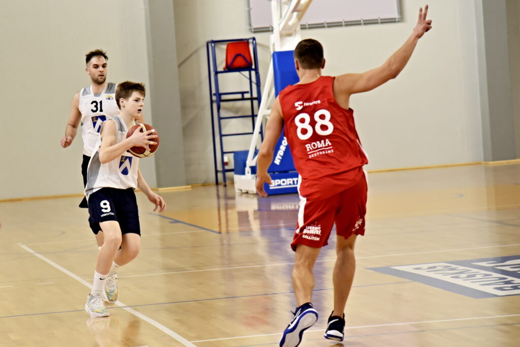 Autors: Uldis Varnevičs