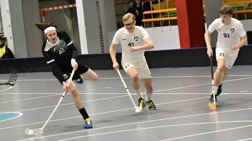 Autors: Uldis Varnevičs