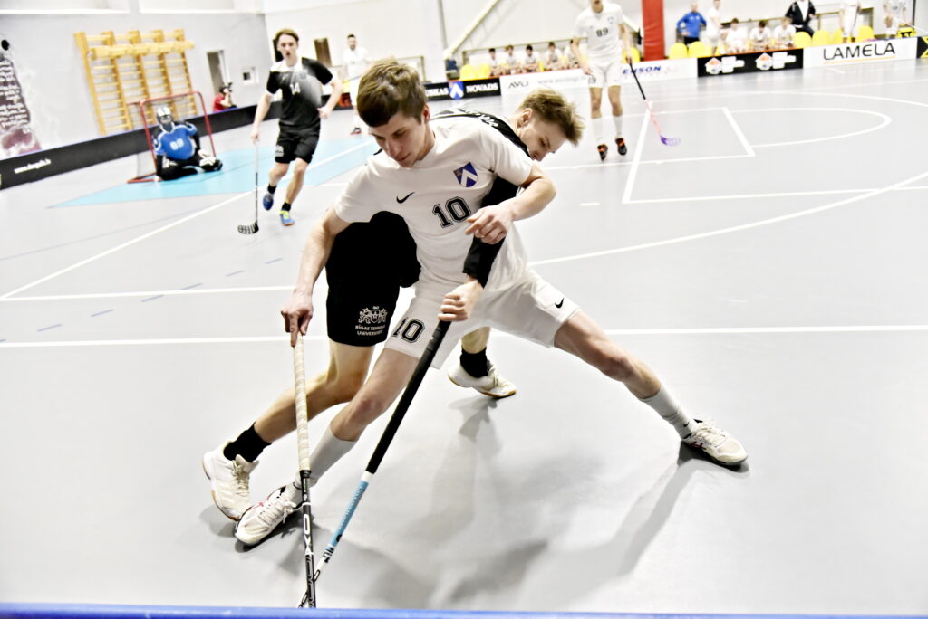 Autors: Uldis Varnevičs