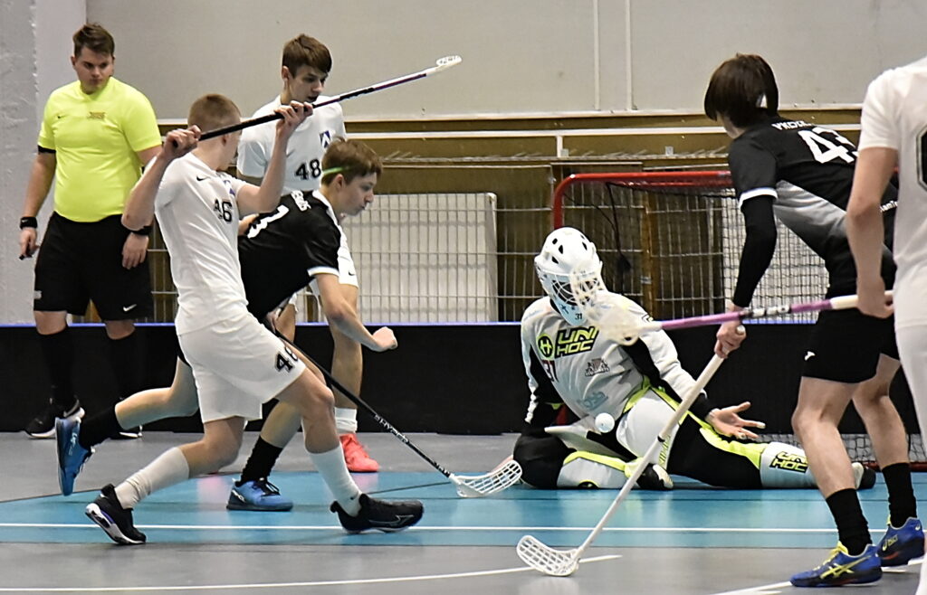 Autors: Uldis Varnevičs