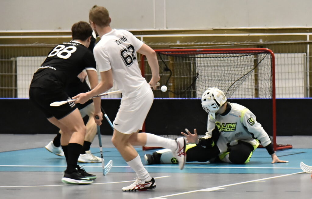 Autors: Uldis Varnevičs