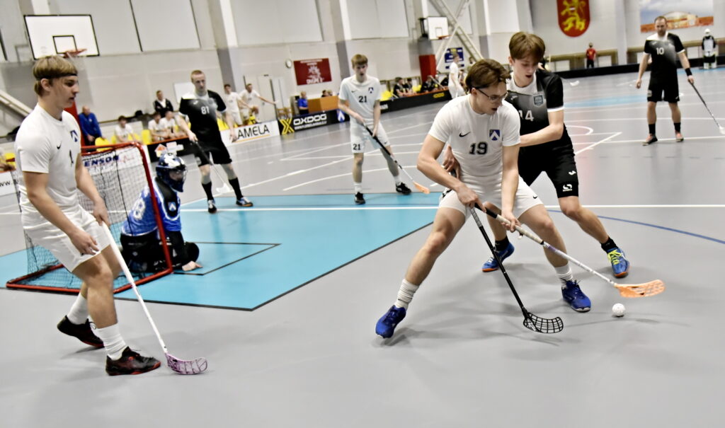 Autors: Uldis Varnevičs