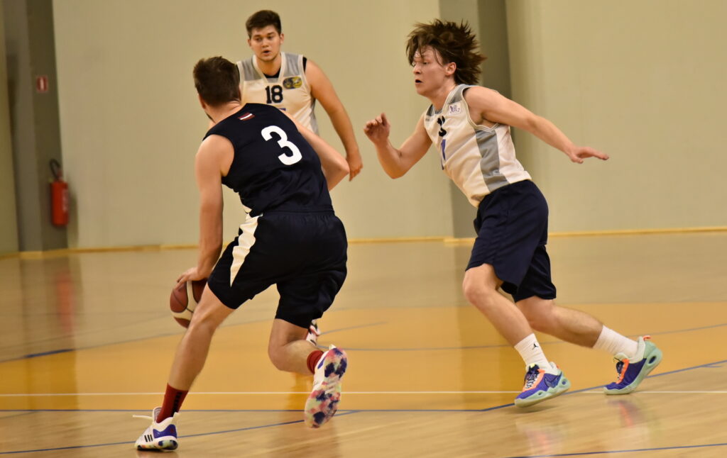 Autors:  Uldis Varnevičs