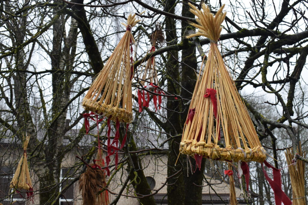 Autors: www.bauskasdzive.lv