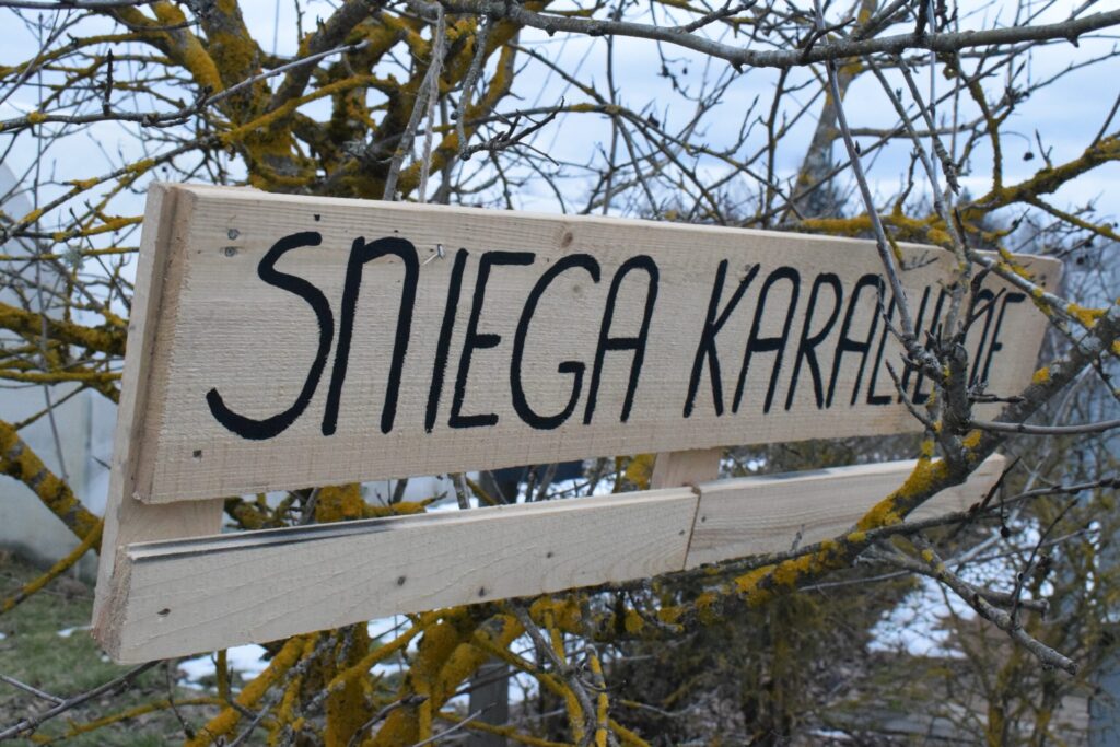 Autors: Žanna Zālīte