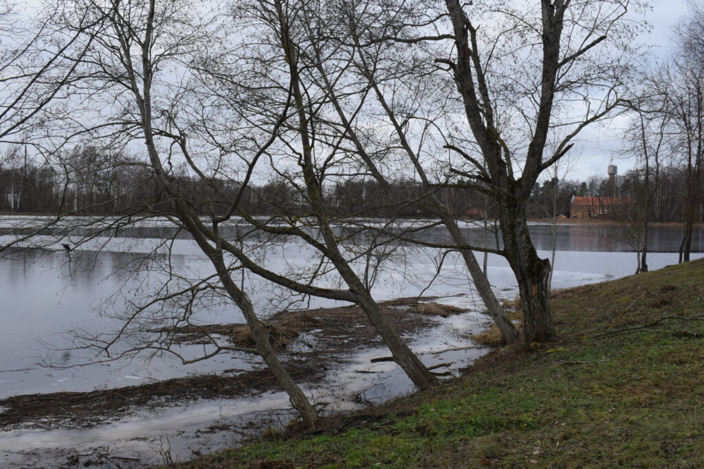 Autors: Visi foto - www.bauskasdzive.lv