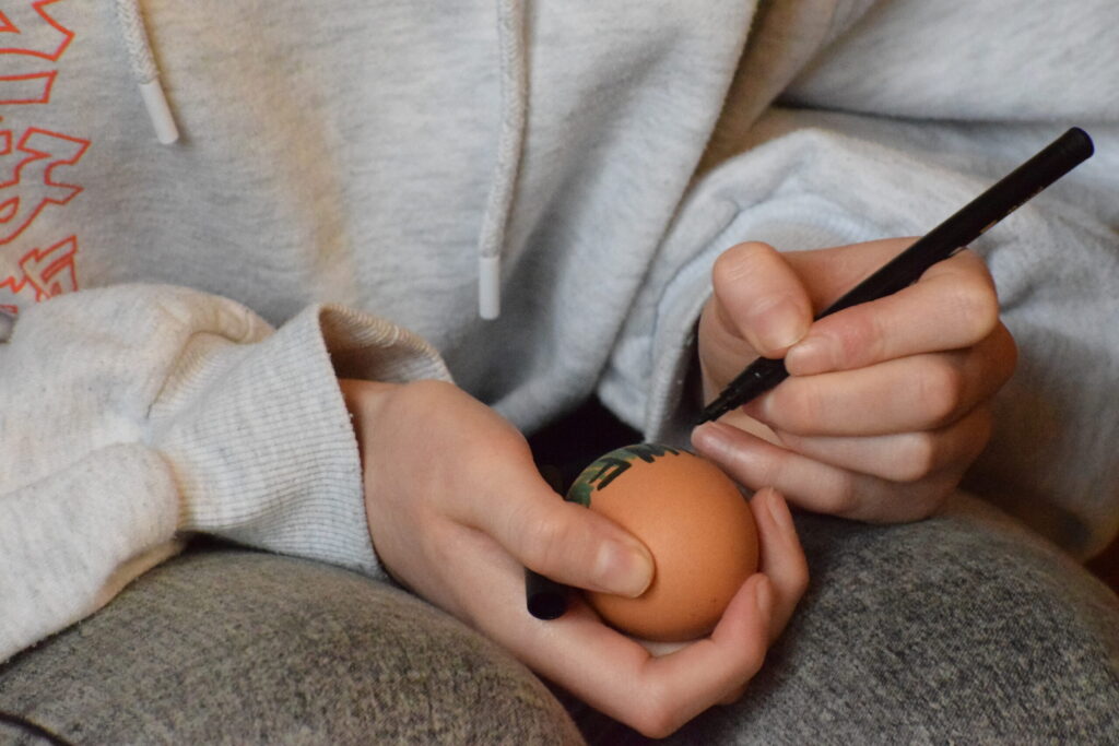 Autors: Žanna Zālīte