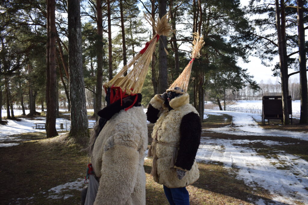 Autors: www.bauskasdzive.lv