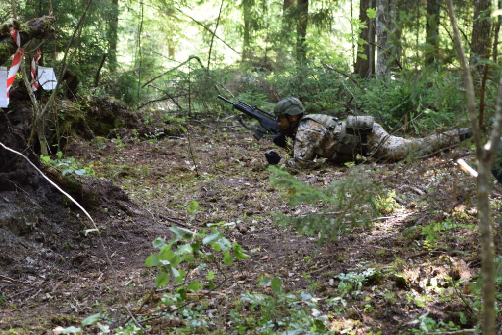 Autors: Laila Liepiņa