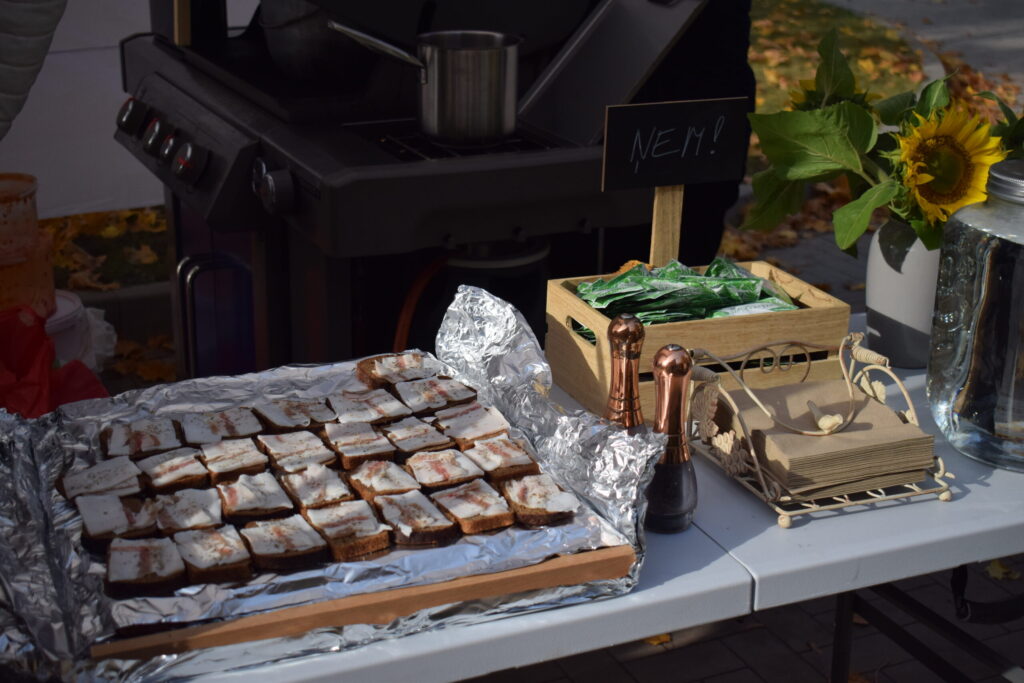 Autors: Žanna Zālīte