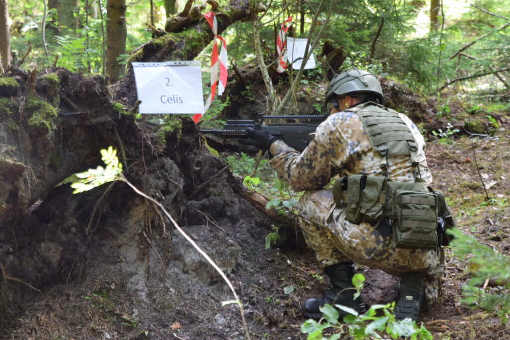 Autors: Laila Liepiņa