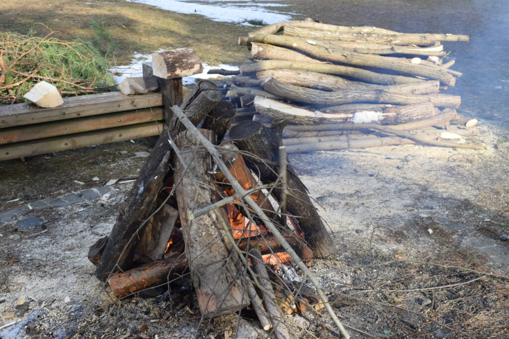 Autors: www.bauskasdzive.lv