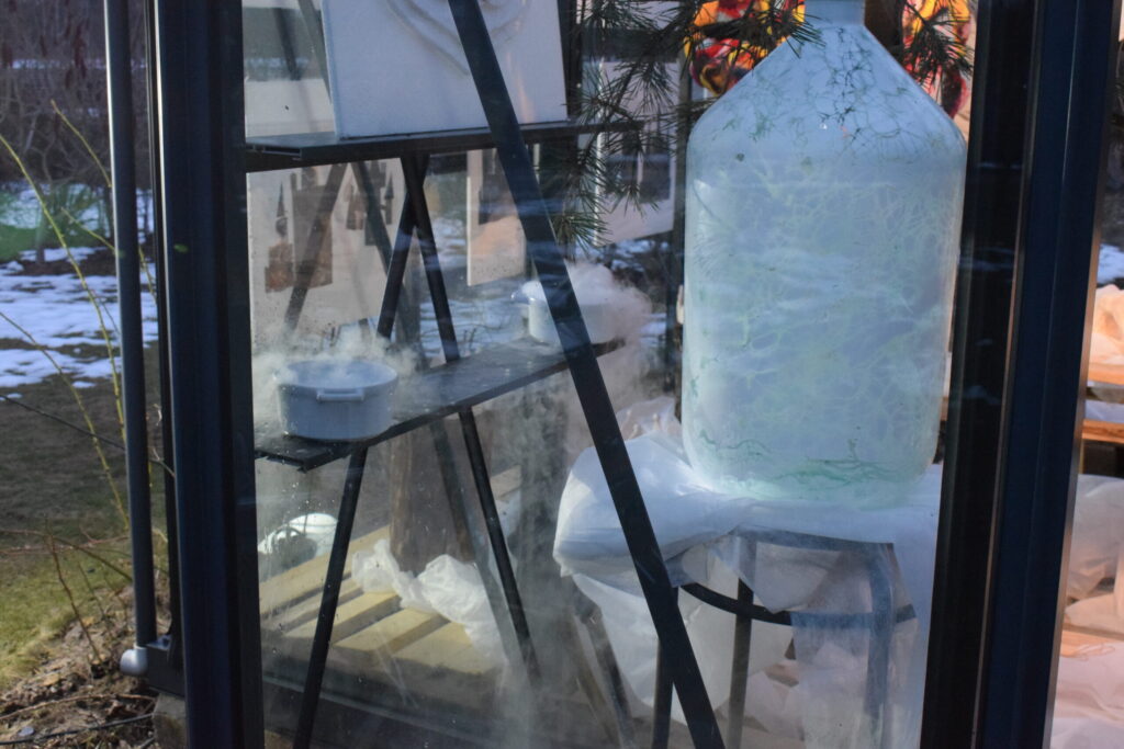 Autors: Žanna Zālīte