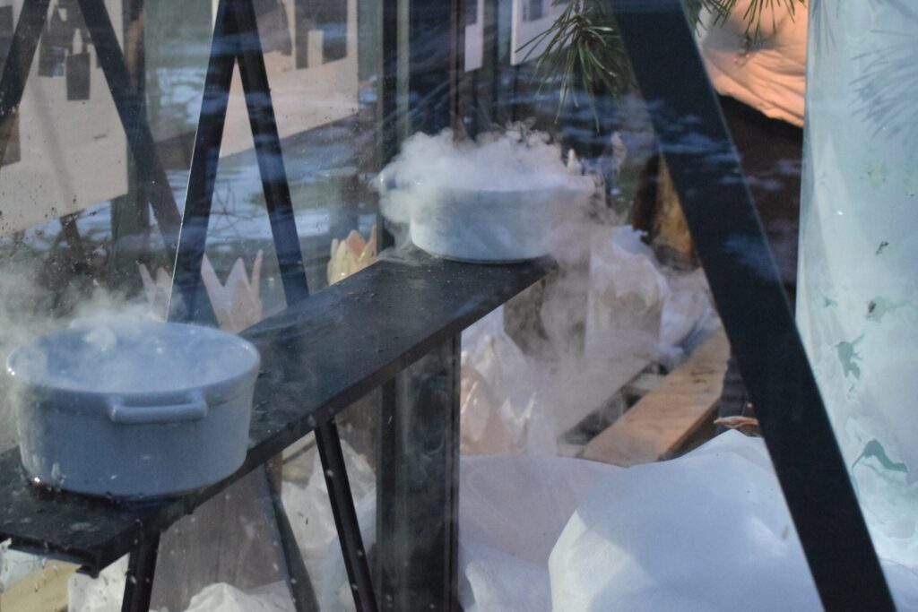 Autors: Žanna Zālīte