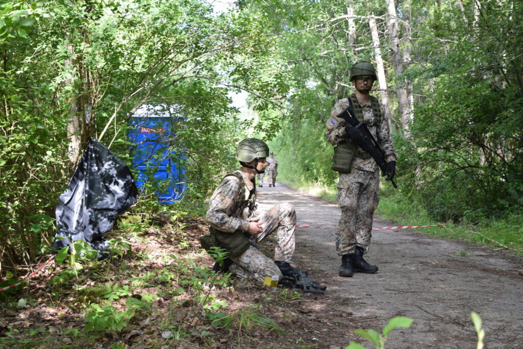 Autors: Laila Liepiņa