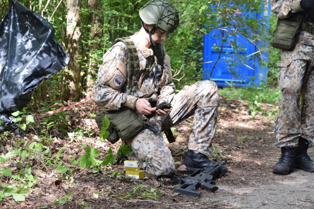 Autors: Laila Liepiņa