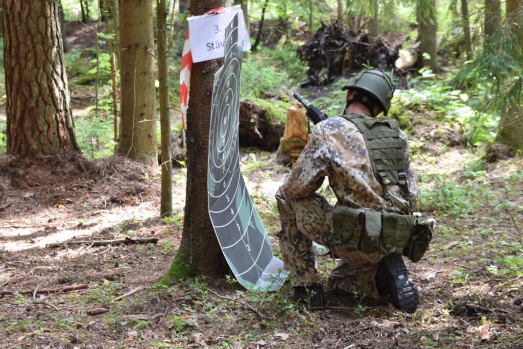 Autors: Laila Liepiņa