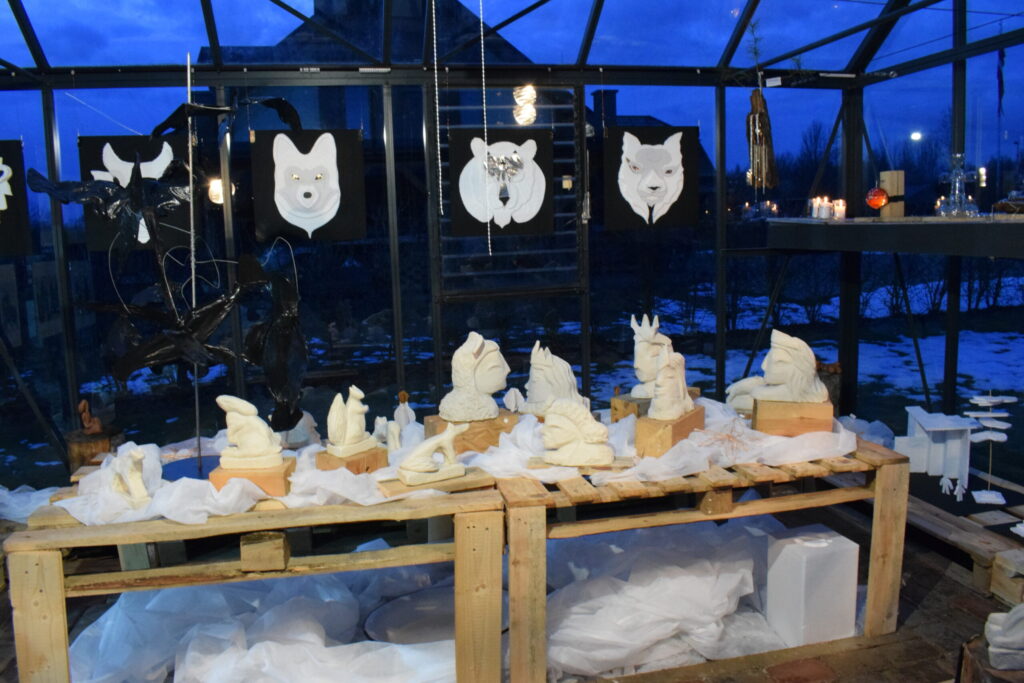 Autors: Žanna Zālīte