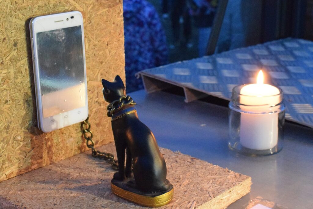 Autors: Žanna Zālīte