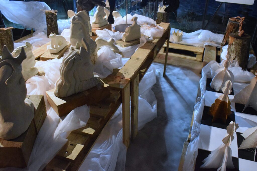 Autors: Žanna Zālīte