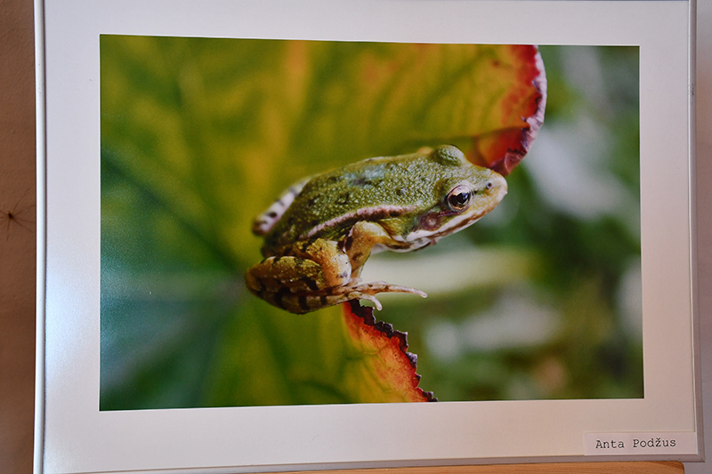 Autors: Ivars Bogdanovs