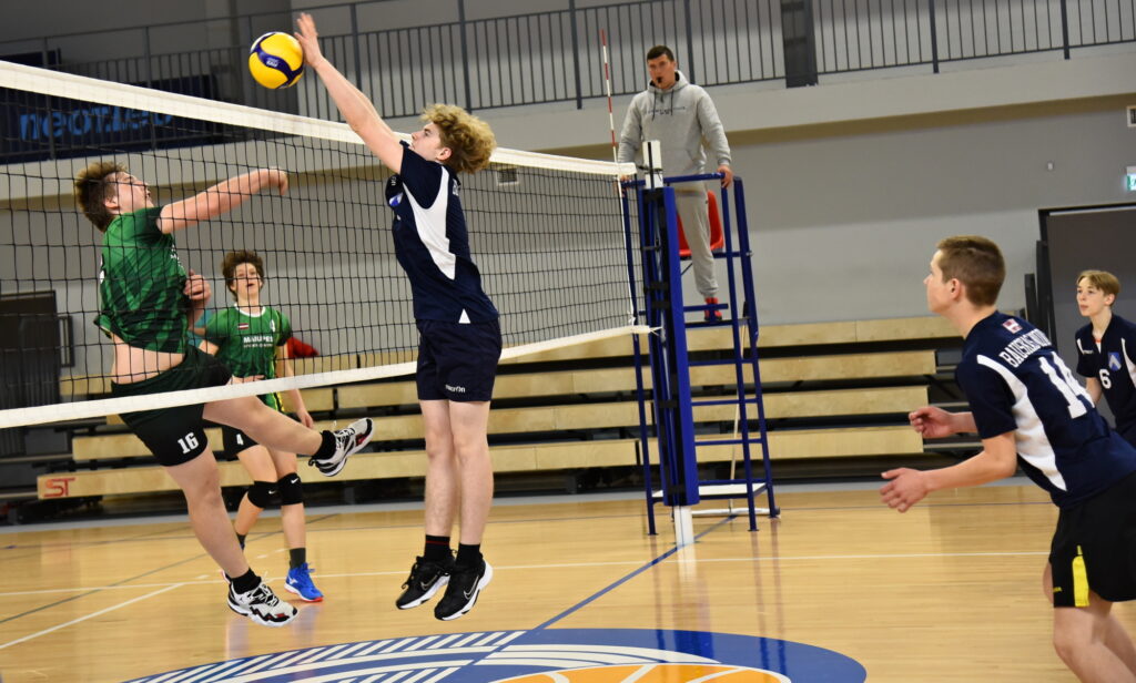 Autors: Uldis Varnevičs