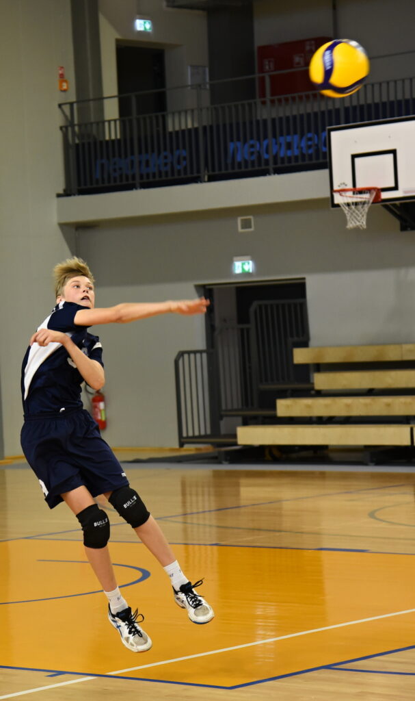 Autors: Uldis Varnevičs