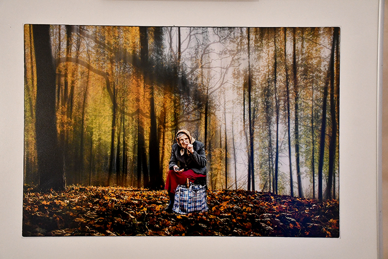 Autors: Ivars Bogdanovs