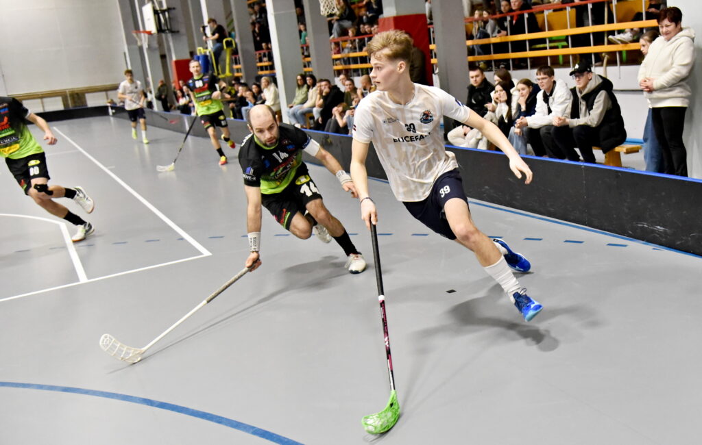 Autors: Uldis Varnevičs