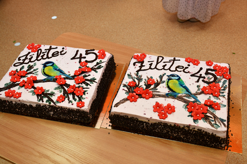 Autors: Ivars Bogdanovs