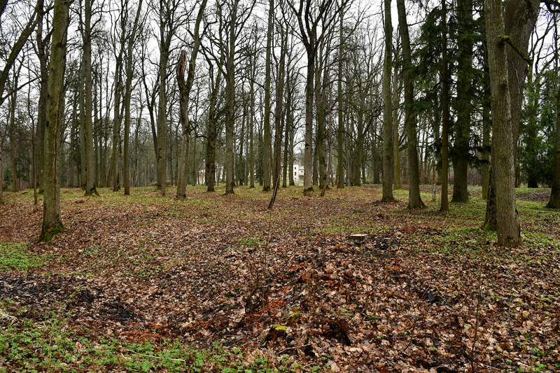 Autors: Ivars Bogdanovs