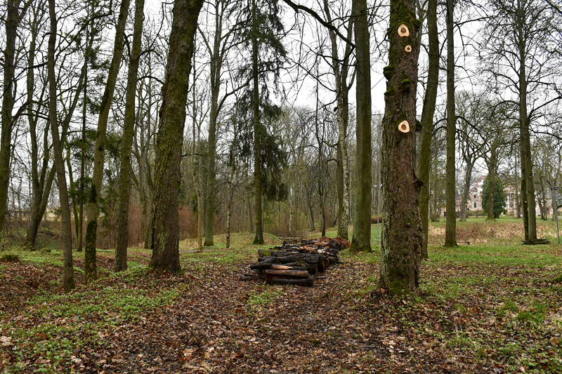 Autors: Ivars Bogdanovs