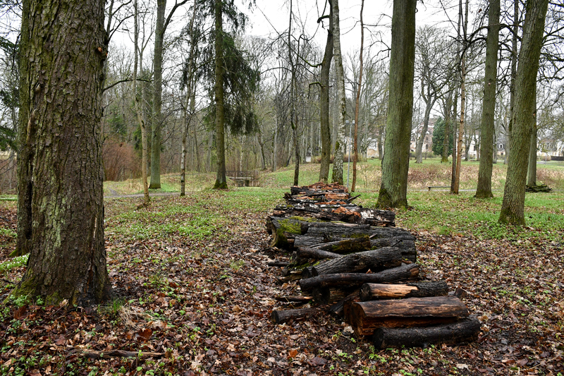 Autors: Ivars Bogdanovs