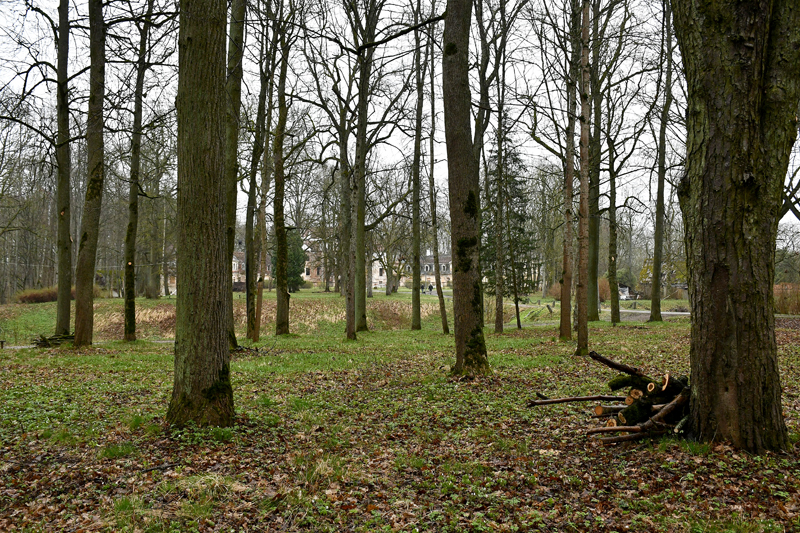 Autors: Ivars Bogdanovs