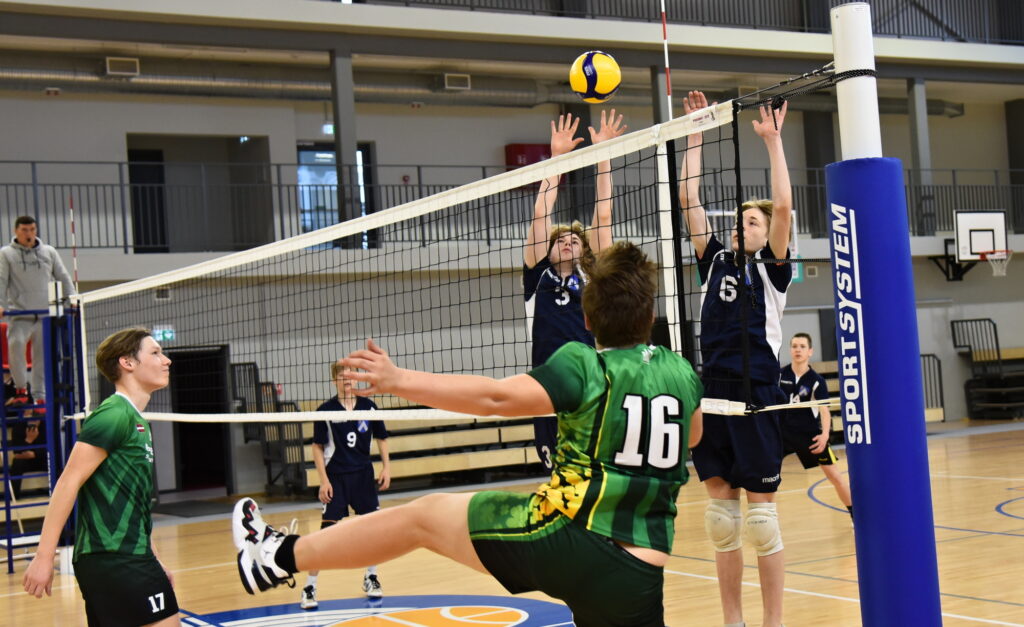 Autors: Uldis Varnevičs