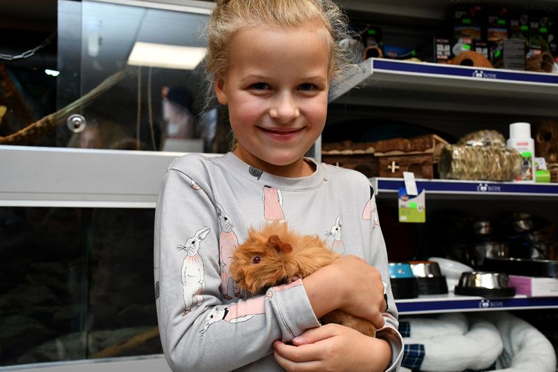 Autors: Ivars Bogdanovs