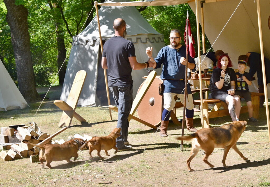 Autors: Uldis Varnevičs