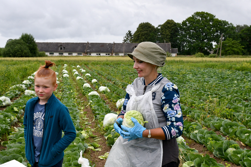 Autors: Ivars Bogdanovs