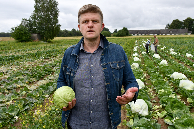 Autors: Ivars Bogdanovs