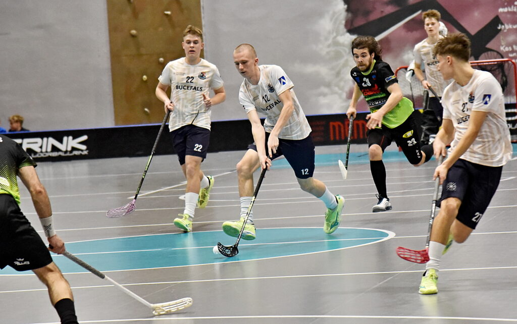 Autors: Uldis Varnevičs