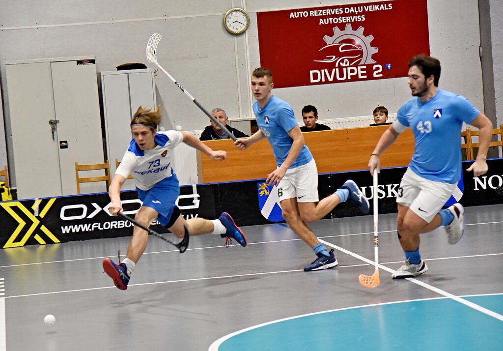 Autors: Uldis Varnevičs