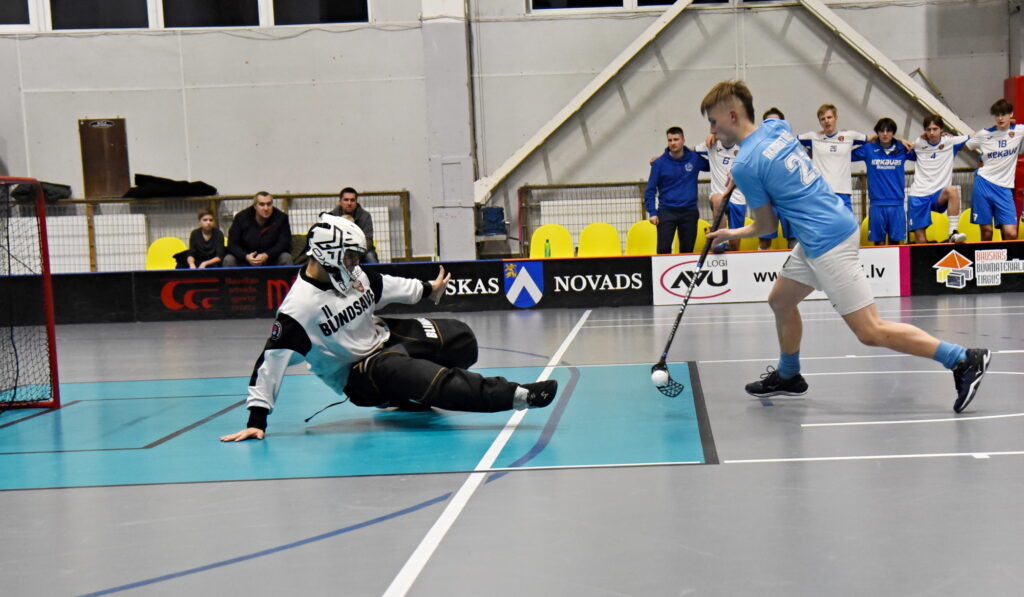 Autors: Uldis Varnevičs