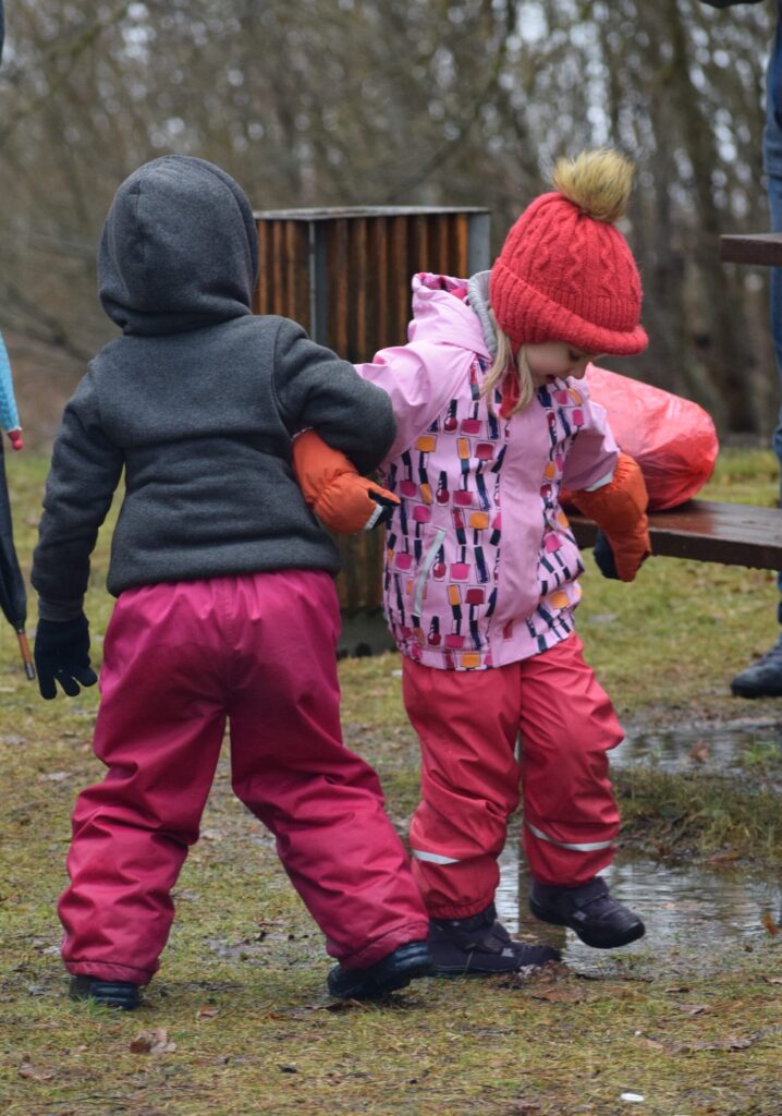 Autors: www.bauskasdzive.lv