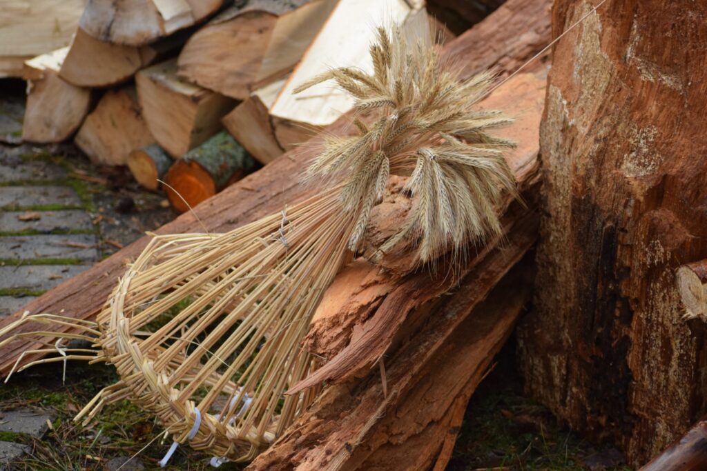 Autors: www.bauskasdzive.lv