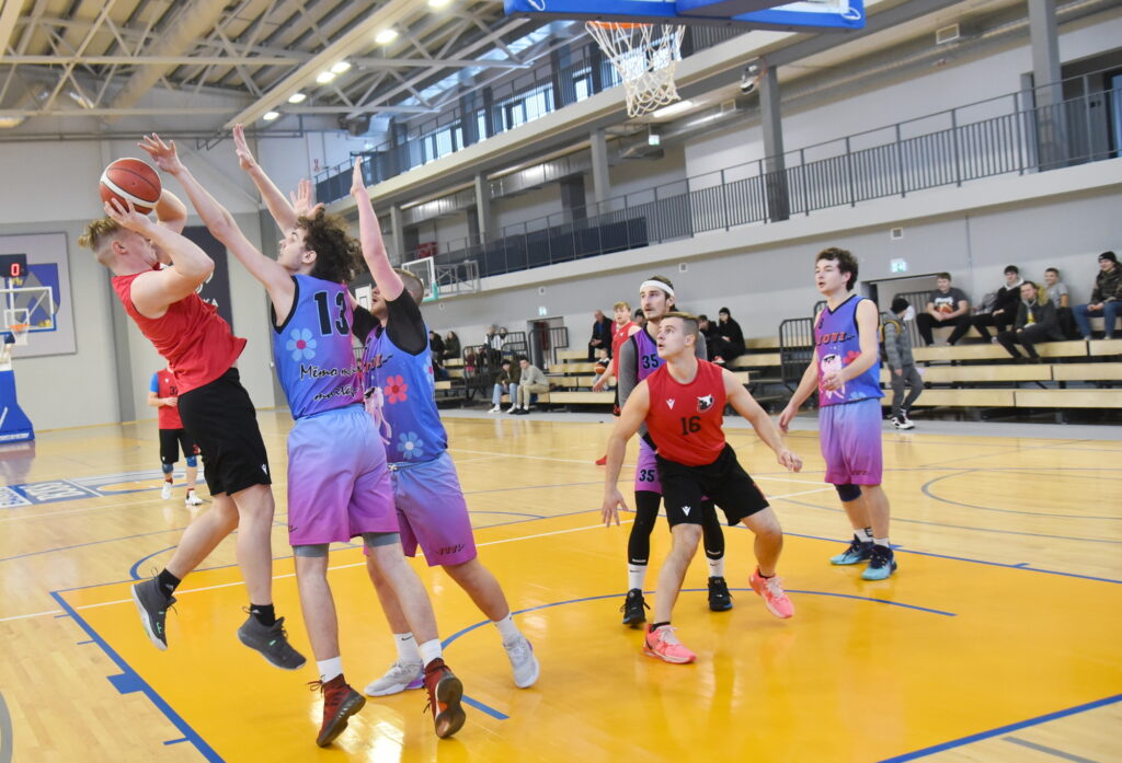 Autors: Uldis Varnevičs