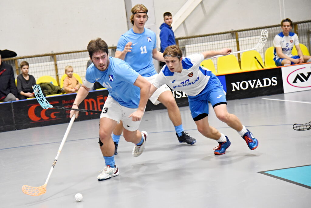 Autors: Uldis Varnevičs