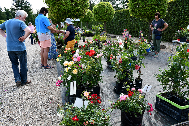 Autors: Ivars Bogdanovs