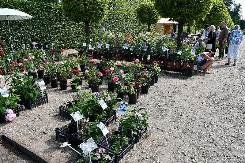 Autors: Ivars Bogdanovs