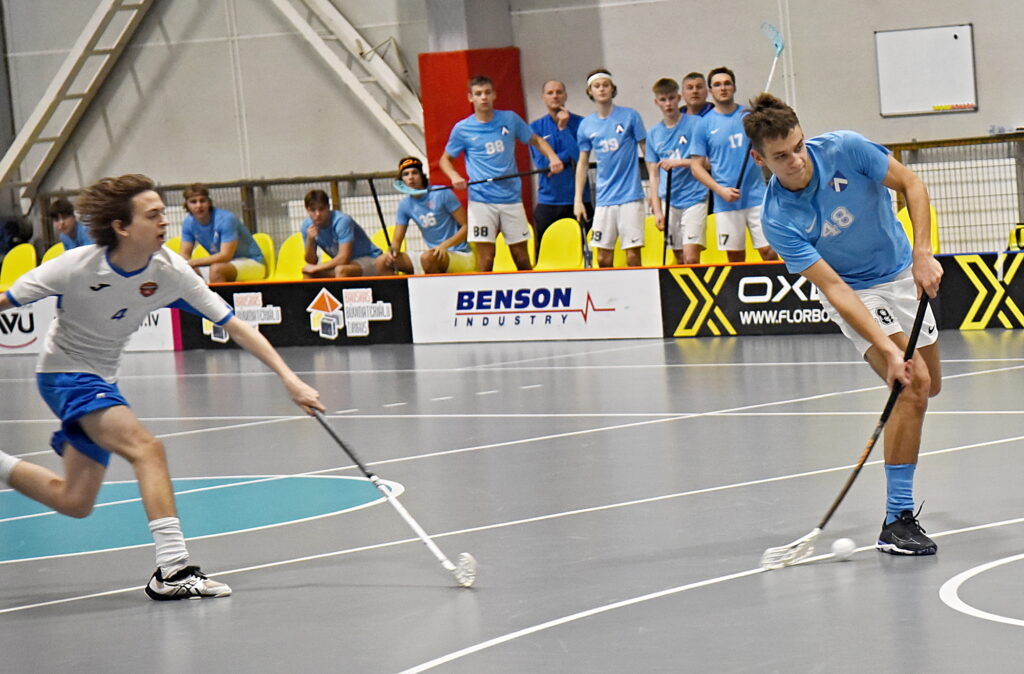 Autors: Uldis Varnevičs